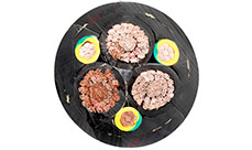 雙護套卷筒電纜 雙護套卷筒電纜