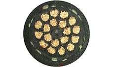 TPU卷筒電纜 TPU卷筒電纜